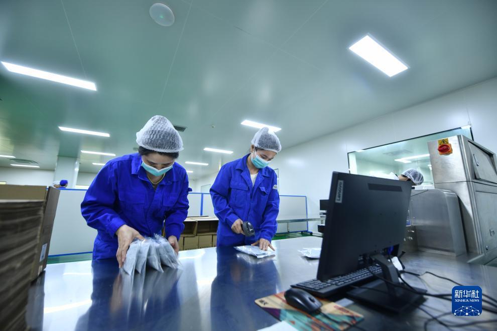 鱼丸游戏电脑版